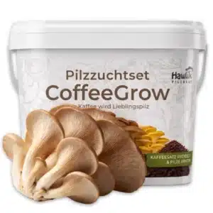 Pilzzuchtset CoffeeGrow, Pilzzucht – Bild 5