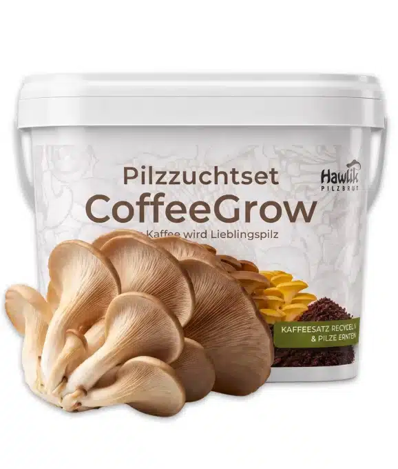 Pilzzuchtset CoffeeGrow, Pilzzucht – Bild 5