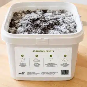 Pilzzuchtset CoffeeGrow, Pilzzucht – Bild 4