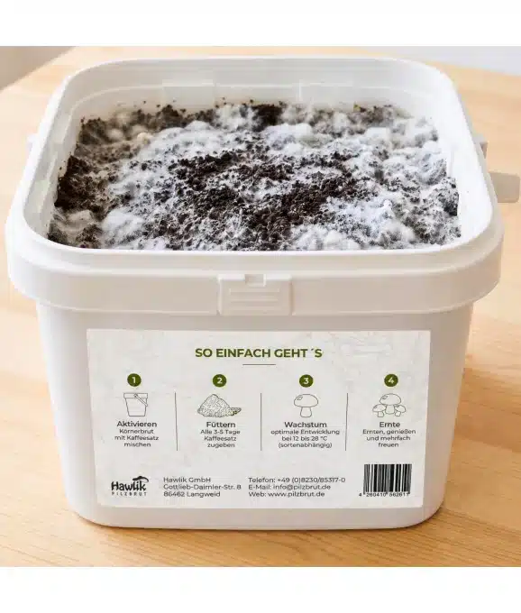 Pilzzuchtset CoffeeGrow, Pilzzucht – Bild 4