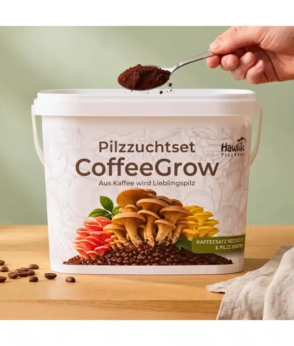 Pilzzuchtset CoffeeGrow, Pilzzucht – Bild 2