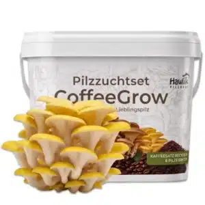 Pilzzuchtset CoffeeGrow, Pilzzucht – Bild 7