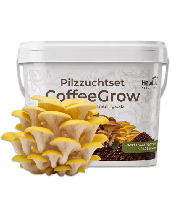 Pilzzuchtset CoffeeGrow, Pilzzucht – Bild 7