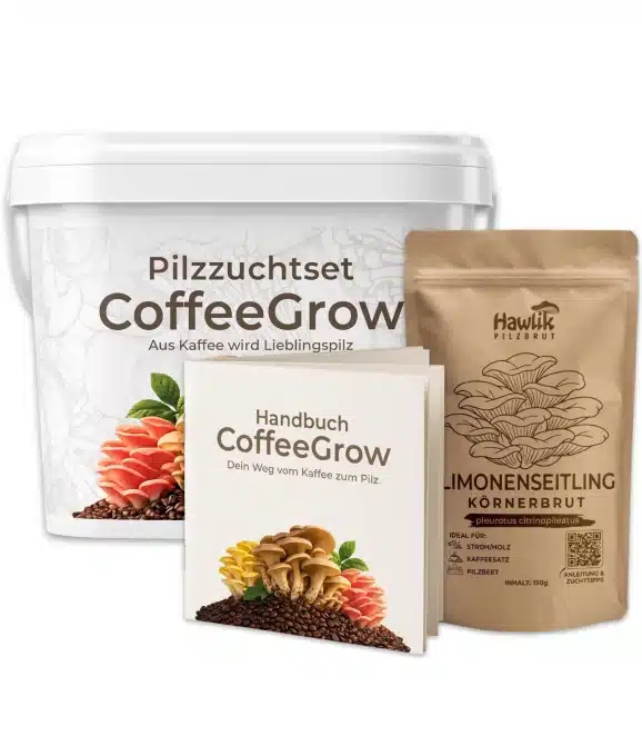 Pilzzuchtset CoffeeGrow, Pilzzucht – Bild 8