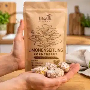 Pilzzuchtset CoffeeGrow, Pilzzucht – Bild 10