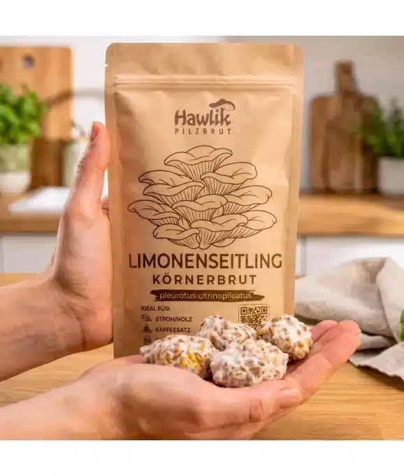 Pilzzuchtset CoffeeGrow, Pilzzucht – Bild 10
