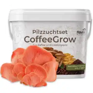 Pilzzuchtset CoffeeGrow, Pilzzucht – Bild 11