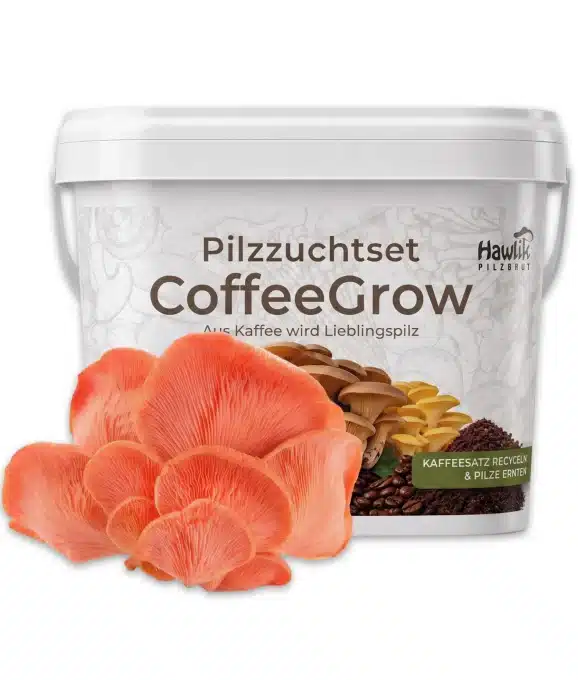 Pilzzuchtset CoffeeGrow, Pilzzucht – Bild 11