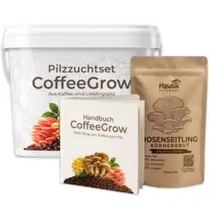 Pilzzuchtset CoffeeGrow, Pilzzucht – Bild 12