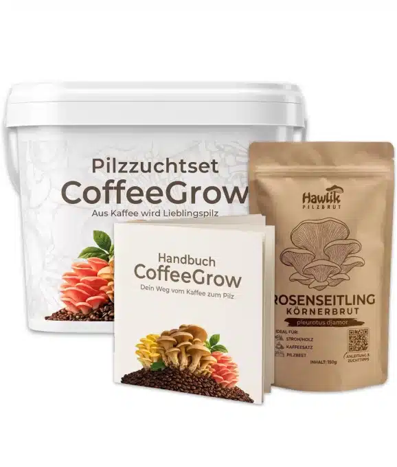 Pilzzuchtset CoffeeGrow, Pilzzucht – Bild 12
