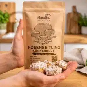 Pilzzuchtset CoffeeGrow, Pilzzucht – Bild 14