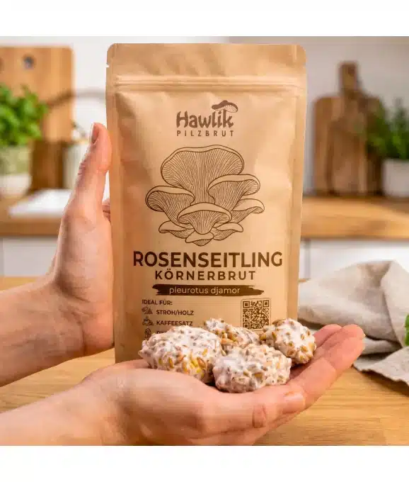Pilzzuchtset CoffeeGrow, Pilzzucht – Bild 14