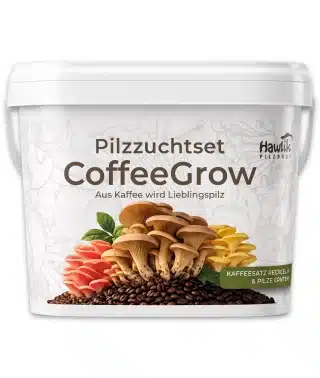Pilzzuchtset CoffeeGrow, Pilzzucht