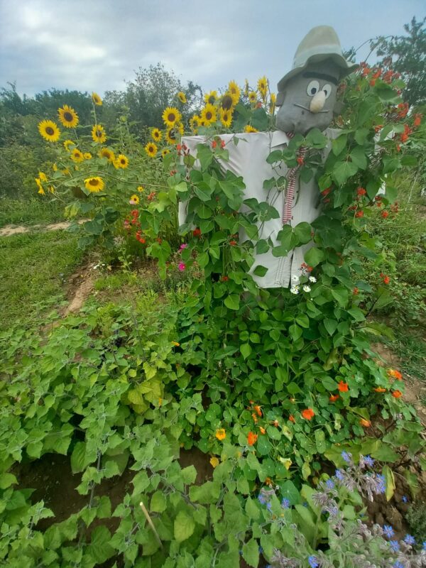 Garten mieten in Bonn-Buschdorf
