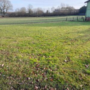 Alternative view of Gemüsegarten mieten in Lübeck