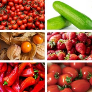 Bio-Premium-Set Snack-Gemüse