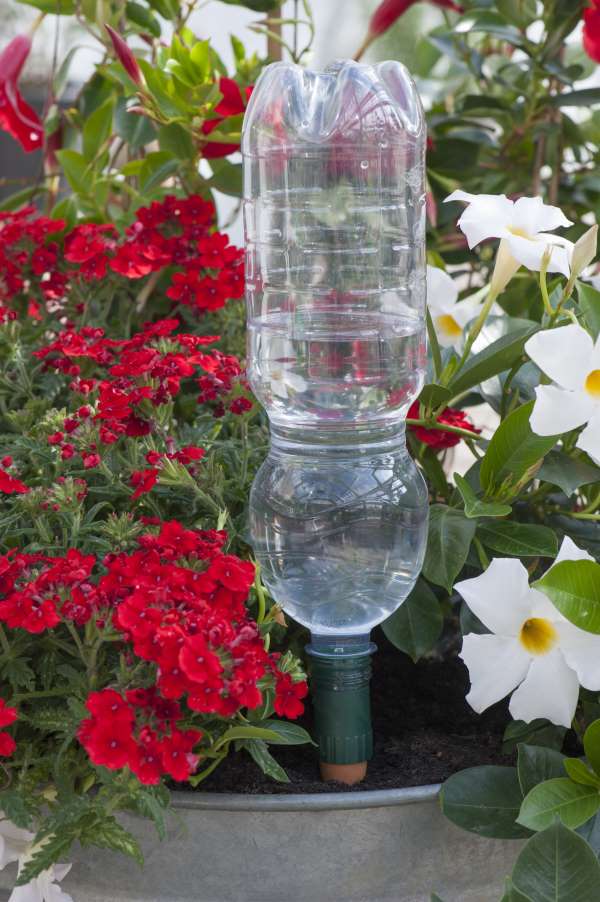 KJEF, Plastikflasche als Bewässerung meineernte.de