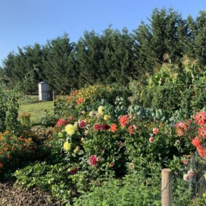 Dauergarten mieten in Köln