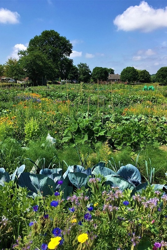 GartenmietenAachen44 meineernte.de