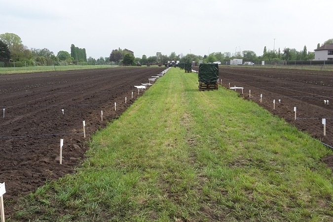 GartenmietenBerlinBaumschulwegmeineernte16 meineernte.de