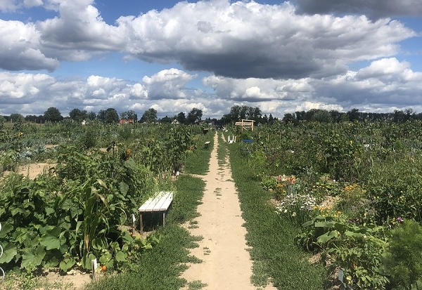 GartenmietenBerlinRudowmeineernte26 meineernte.de