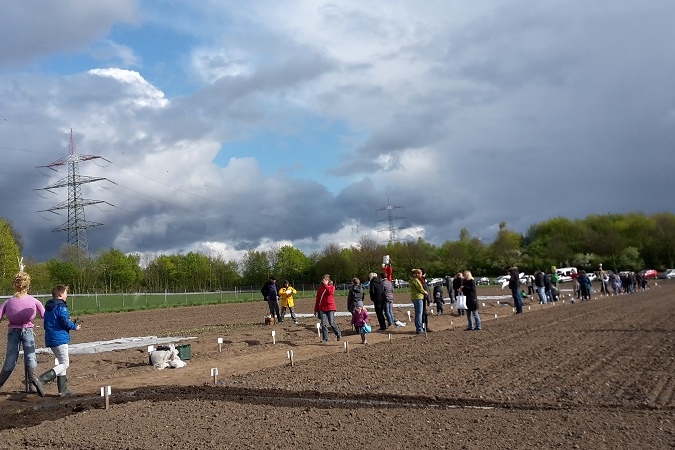 GartenmietenBottropmeineernte46 meineernte.de
