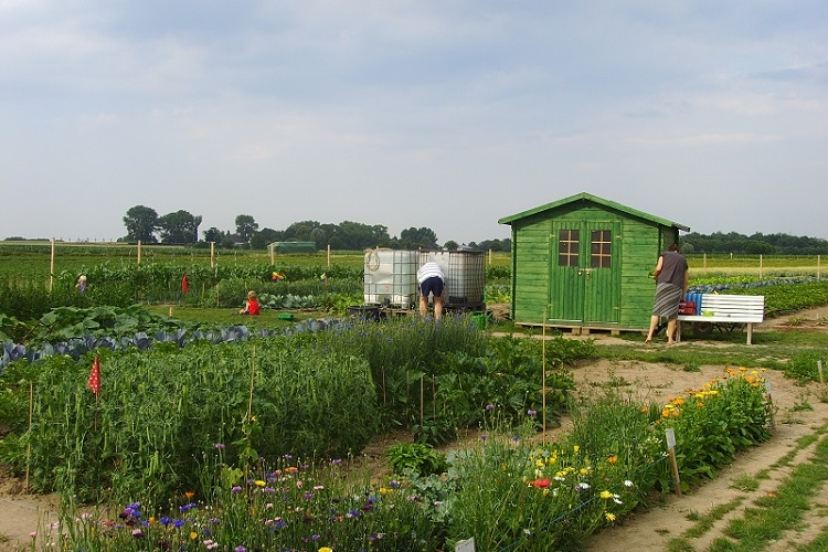 GartenmietenDortmundmeineernte46 meineernte.de