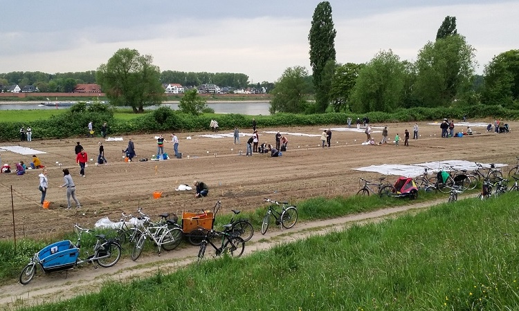 GartenmietenDuesseldorfVolmerswerthmeineernte26 meineernte.de