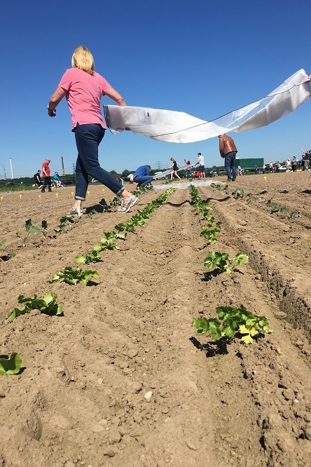 GartenmietenDuisburgmeineernte26 meineernte.de