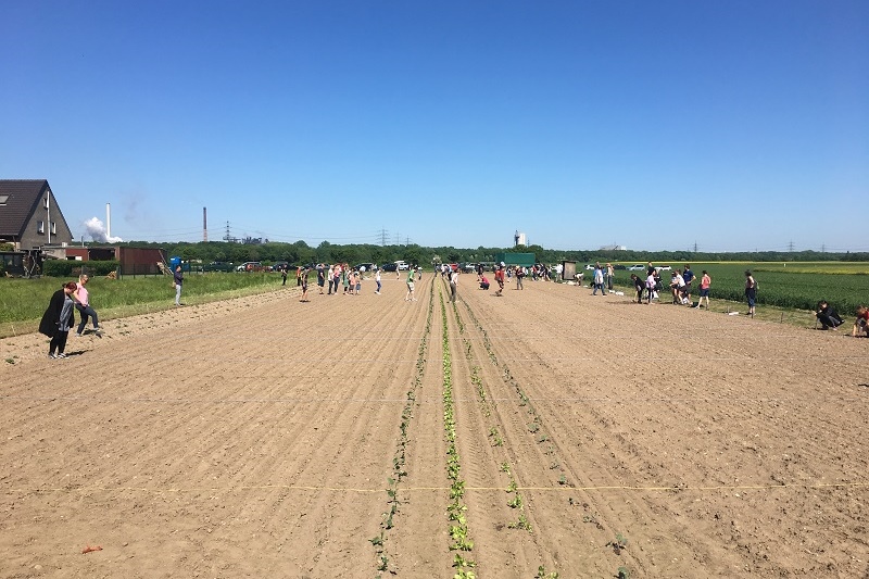 GartenmietenDuisburgmeineernte36 meineernte.de