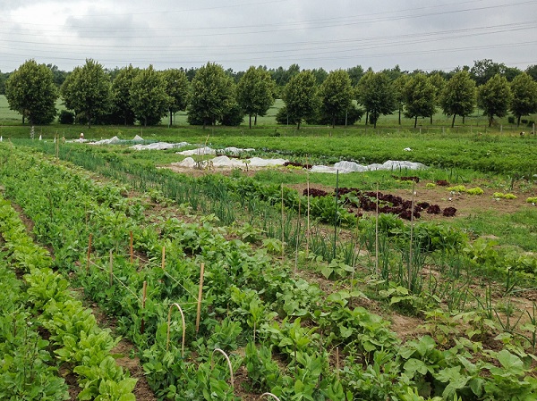 GartenmietenEssenmeineernte16 meineernte.de