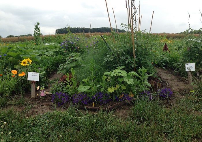 GartenmietenEssenmeineernte26 meineernte.de