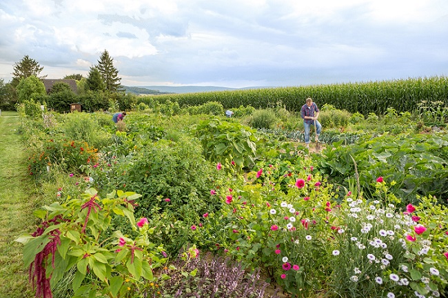 GartenmietenHannovermeineernte26 meineernte.de