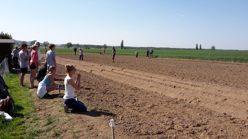 GartenmietenHannovermeineernte56 meineernte.de