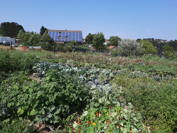 GartenmietenSolingenWuppertalmeineernte16 meineernte.de