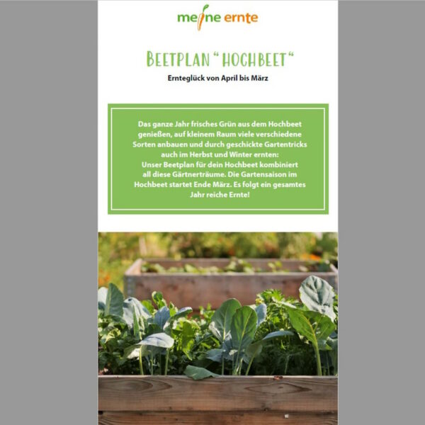 Möhren anbauen, pflegen, ernten und lagern