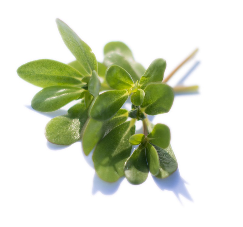 Gem se A Z Meine ernte de Gem se A Z Meine ernte de