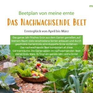 Beetplan „Das Nachwachsende Beet“