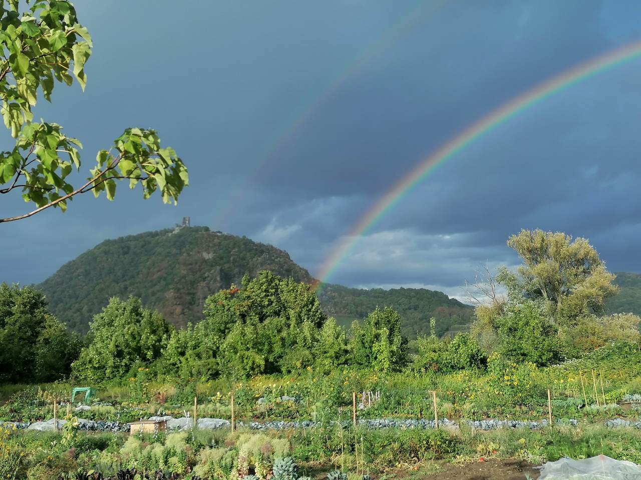 Gartenkalender und Wetter