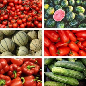 Bio-Premium-Set Sommergemüse II