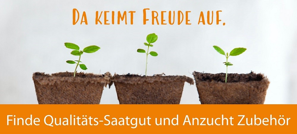 Adventskalender im meine ernte Shop