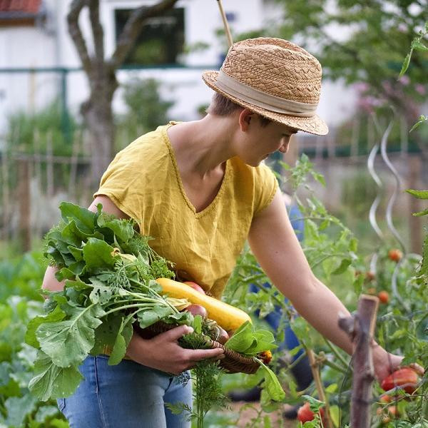 Mein erster Garten - Tipps für Gartenanfänger