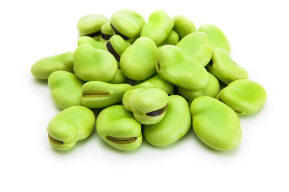 Edamame