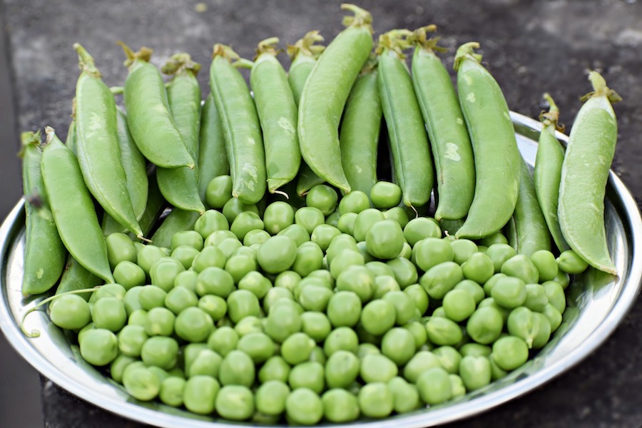 Erbsen Rezepte