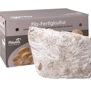 Bio Pioppinokultur 3kg